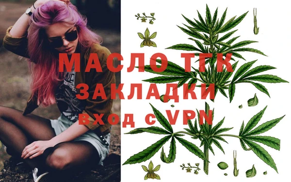СК Алексин