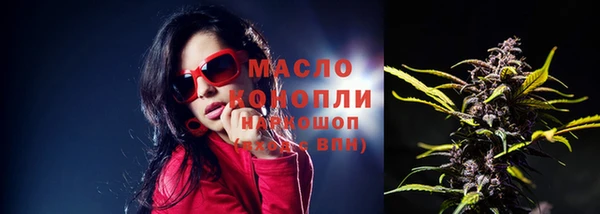 СК Алексин