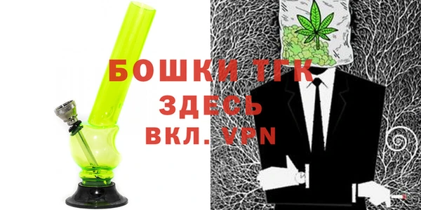 СК Алексин
