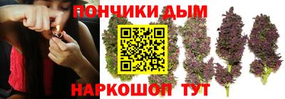 шишки Аргун