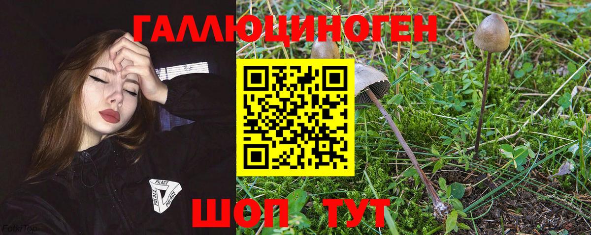 Алушта  Галлюциногенные грибы Psilocybe  Вход с VPN 