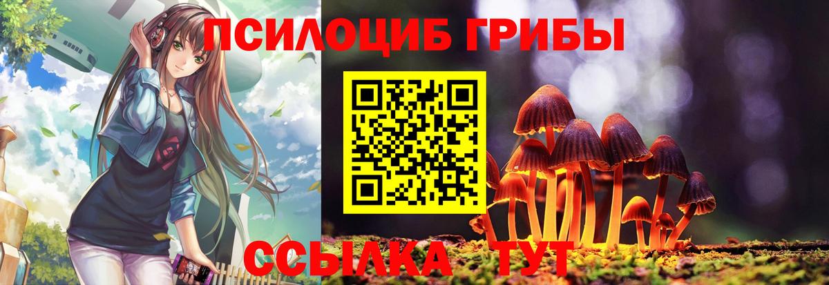 Галлюциногенные грибы прущие грибы Алушта